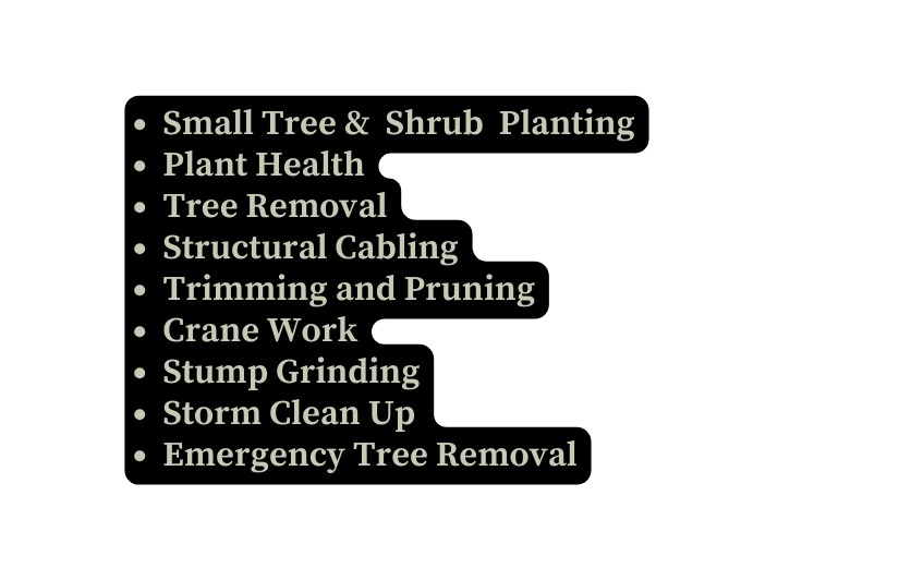 Small Tree Shrub Planting Plant Health Tree Removal Structural Cabling Trimming and Pruning Crane Work Stump Grinding Storm Clean Up Emergency Tree Removal